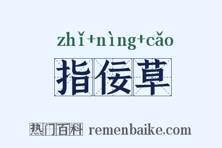 指佞草是什么意思的图片